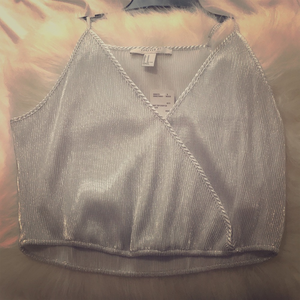 Silver crop top
